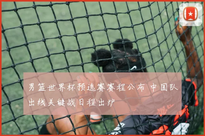 男篮世界杯预选赛赛程公布 中国队出线关键战日程出炉