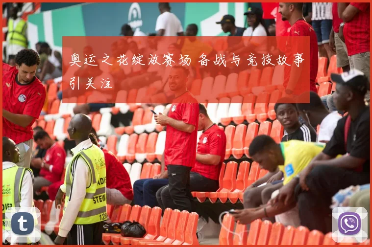 奥运之花绽放赛场 备战与竞技故事引关注